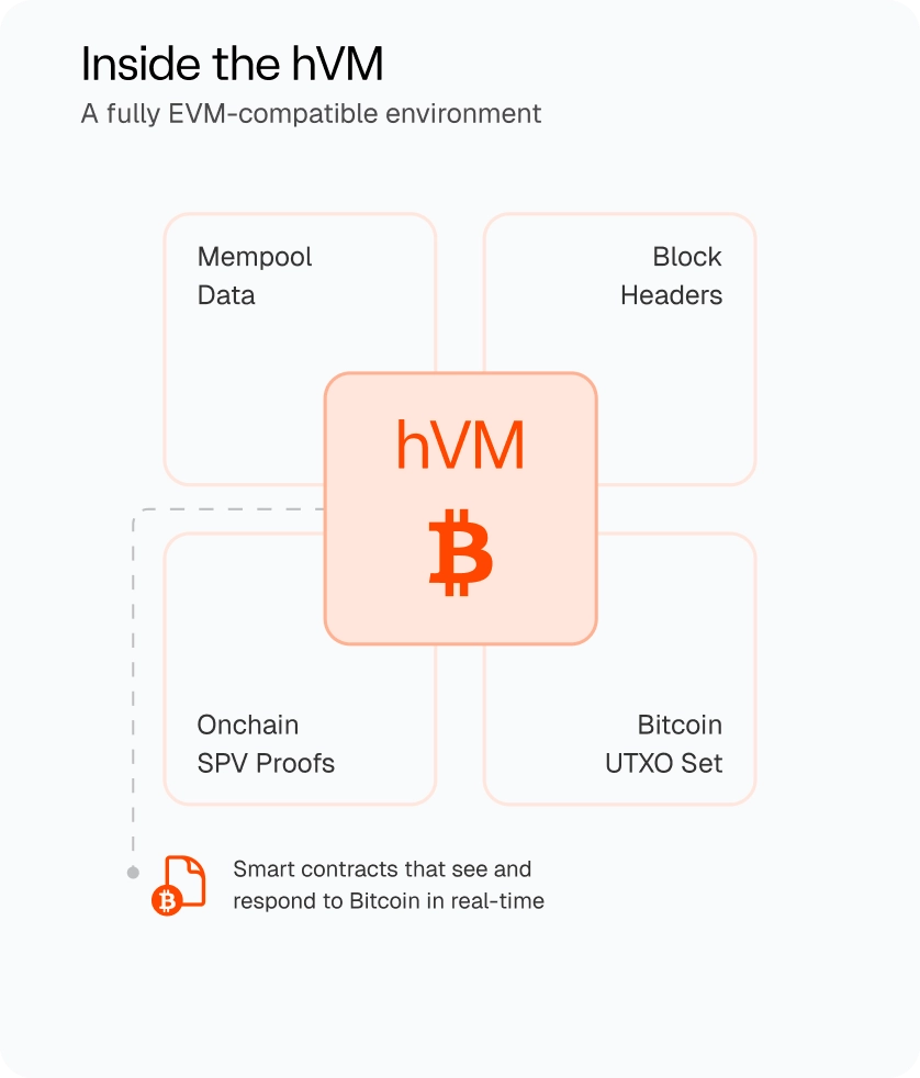 Inside the hVM